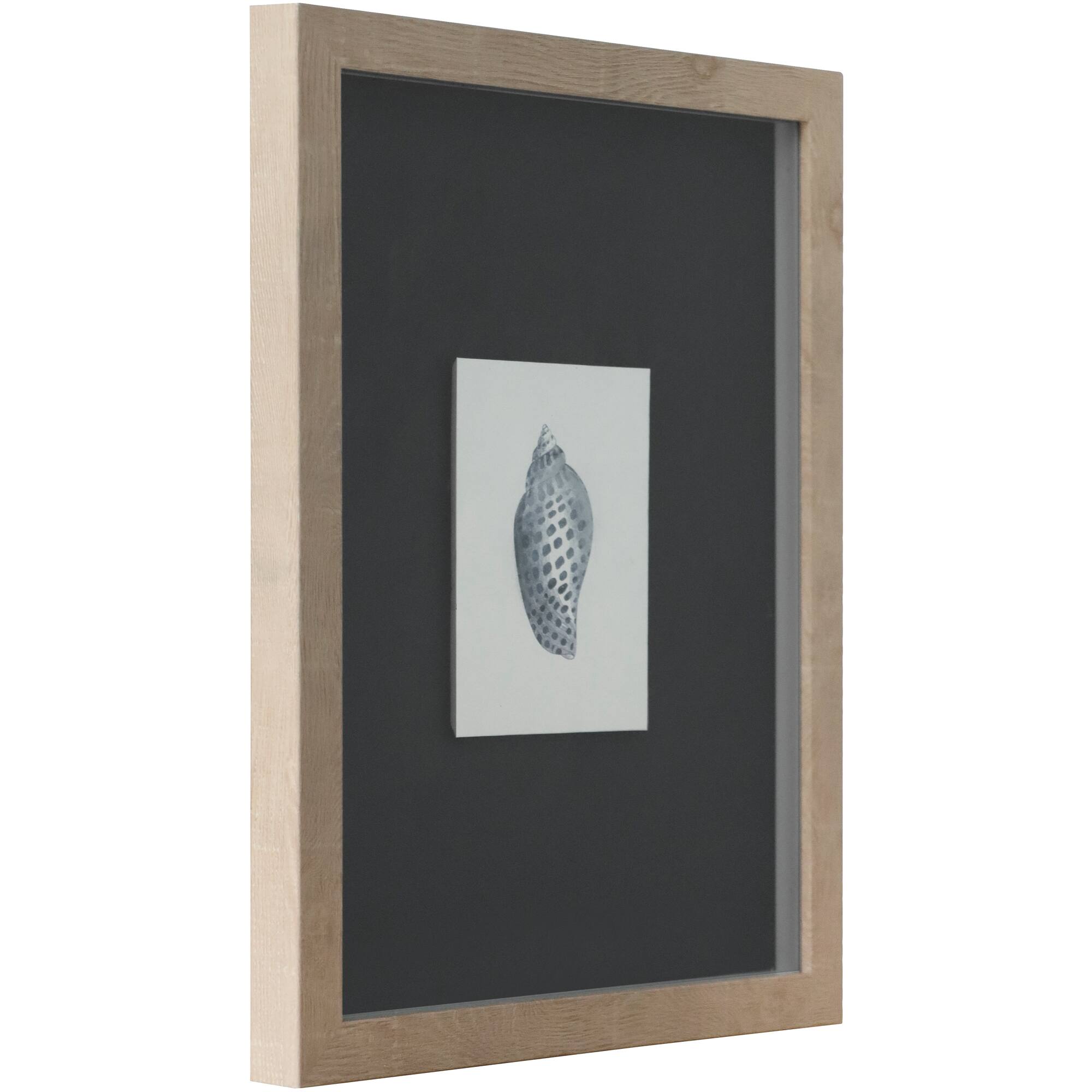 11" x 14" Blue Spotted Shell Art Wall Décor by Ashland®